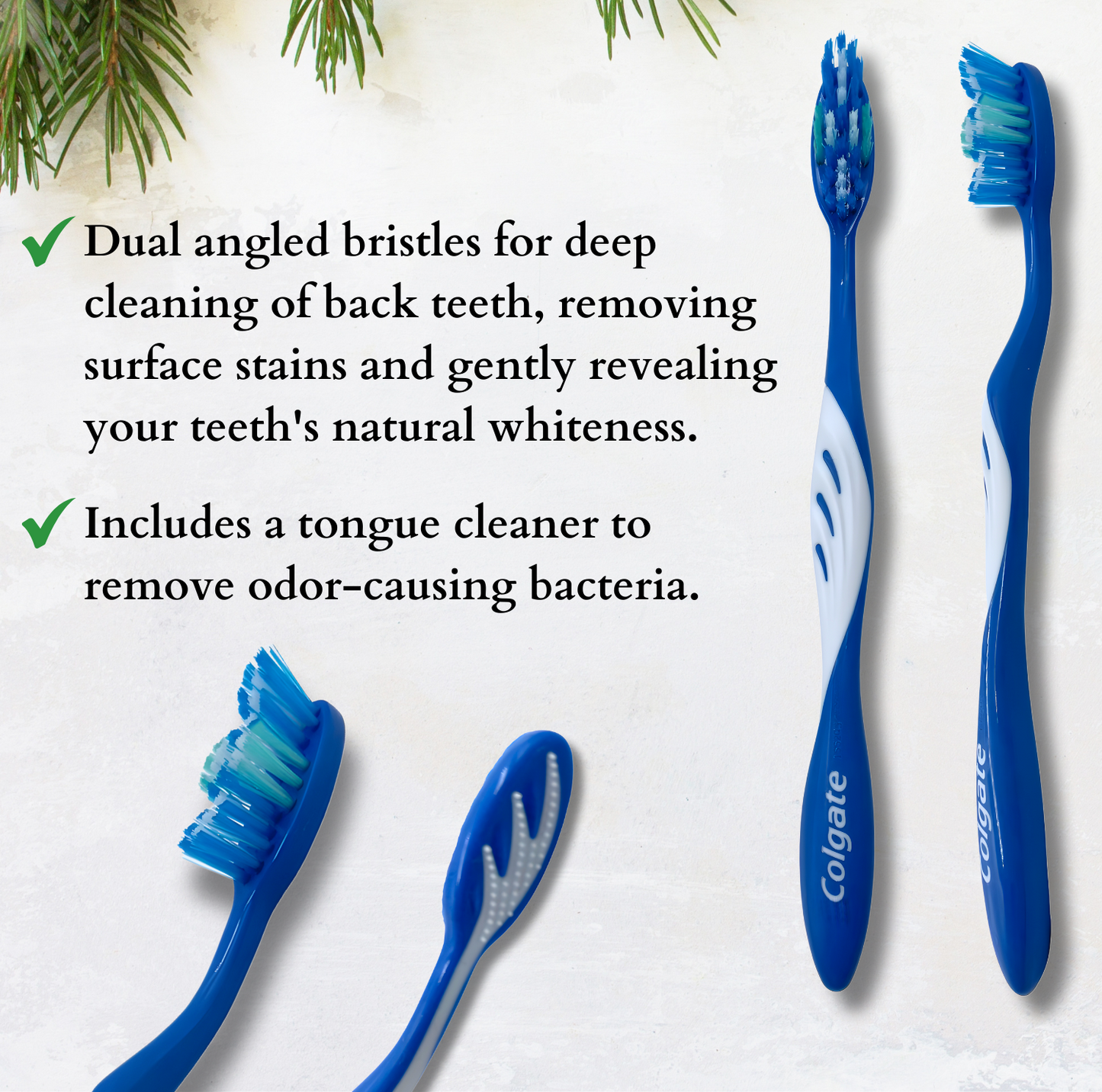Dental Health Care Bundle for Everyday Use