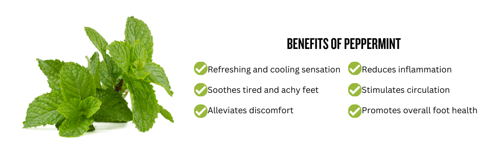 Fresh peppermint leaves with text highlighting benefits like cooling sensation, reduced inflammation, pain relief, and improved circulation for tired feet.