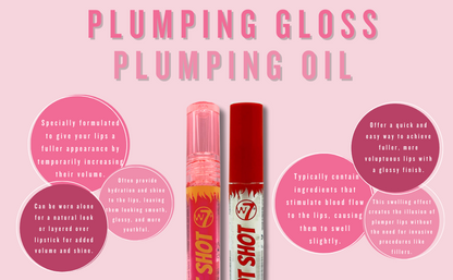 Plumping Lip Gloss and Oil with Blush and Highlighter Bundle